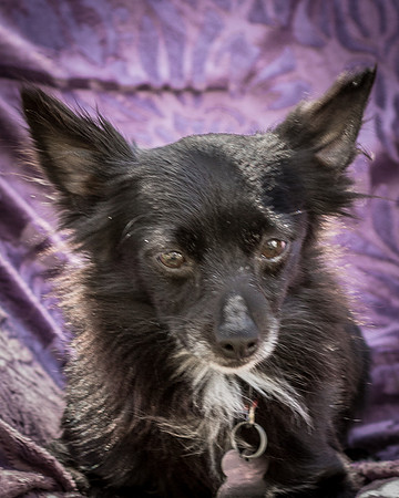 Foster Julio-6266