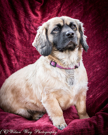 Foster Trudy-45