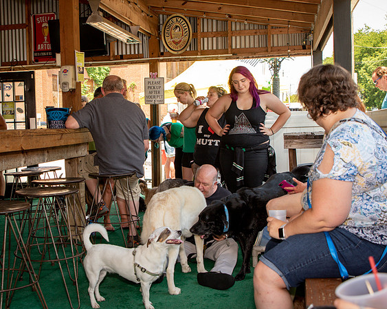 Willies Party-8436