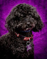 Foster Mindy-7338