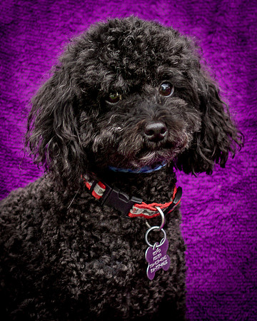 Foster Mindy-7338