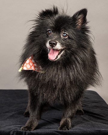 Foster Wayne-7796