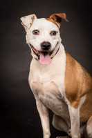 Foster Bowie-1254