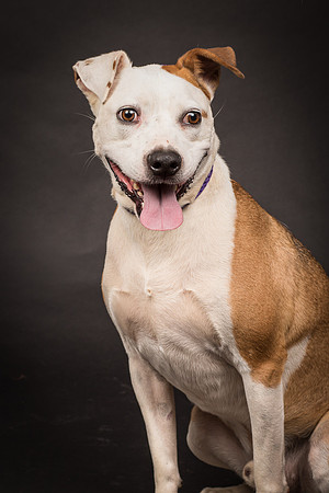 Foster Bowie-1254
