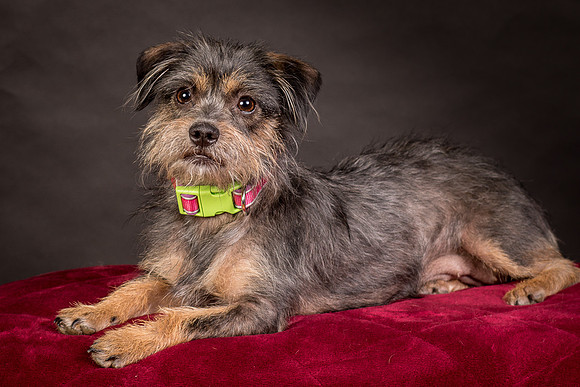 Foster Nadine-9613