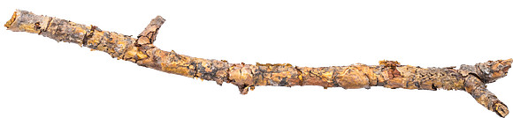 Stick_3