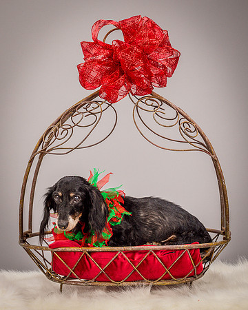 Foster Bernice-3742