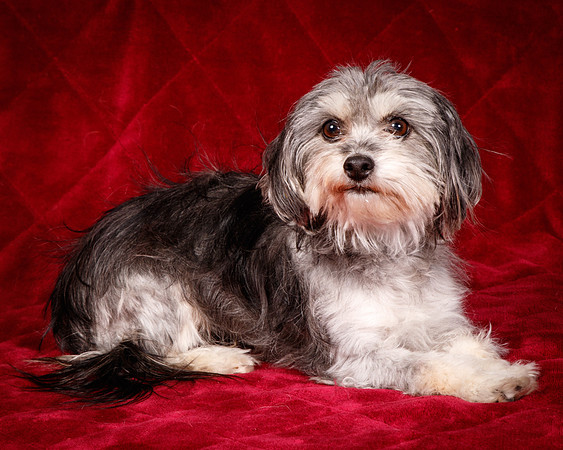Foster Alex-6166
