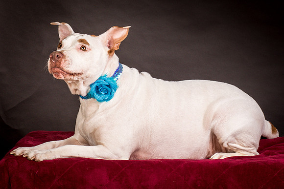Foster Joanie-0492