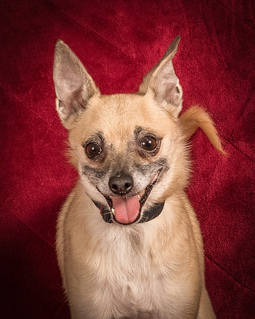 Foster Kiwi-8349
