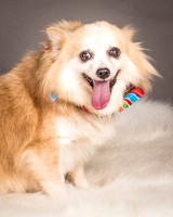 Foster Lilly-3351