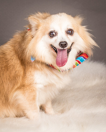 Foster Lilly-3351