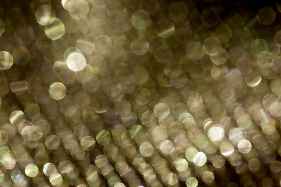 Bokeh_16