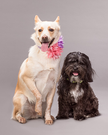 Maggie and Henry-7313