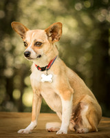 Foster Charisma-7096