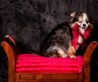 Foster Gabe-4417