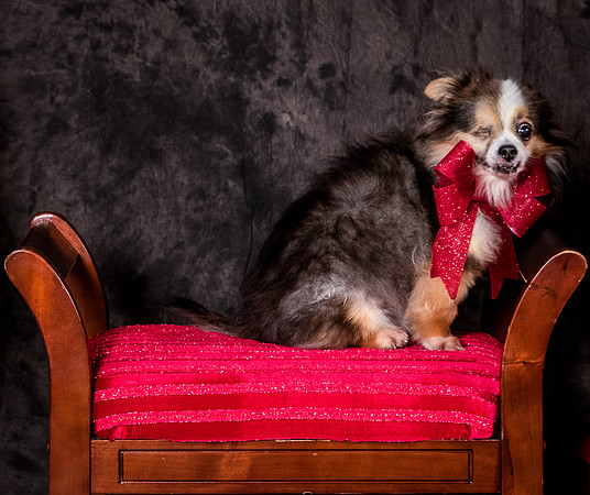 Foster Gabe-4417