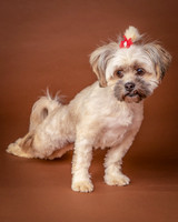 Foster Frida-9755