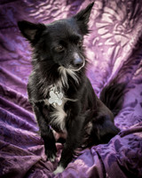 Foster Julio-6205