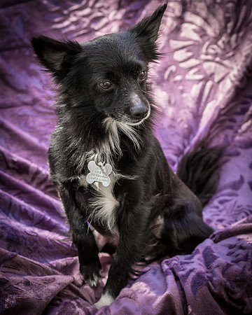 Foster Julio-6205