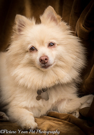 Foster Laverne-6293