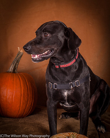 Foster Charles-5196