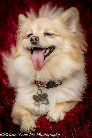 Foster Shirley-6119