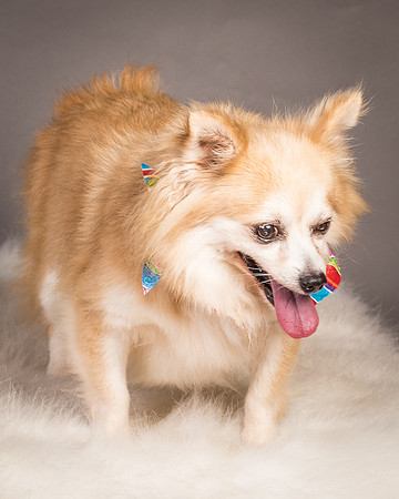Foster Lilly-3398
