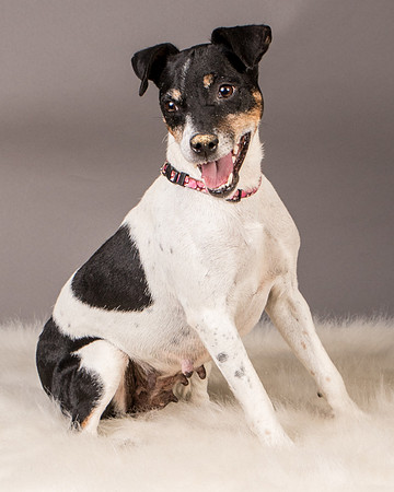 Foster Pollyanna-3898