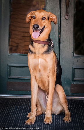 Foster Caesar-9398