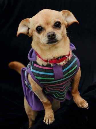 Foster Mirah-7796
