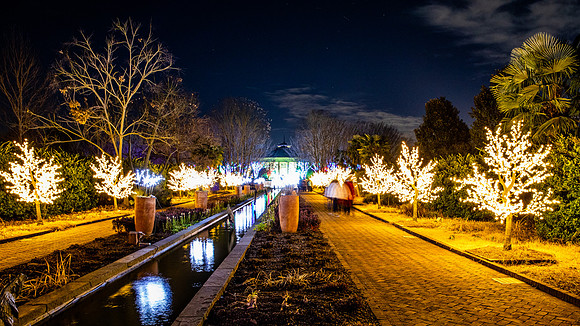 Christmas-2894