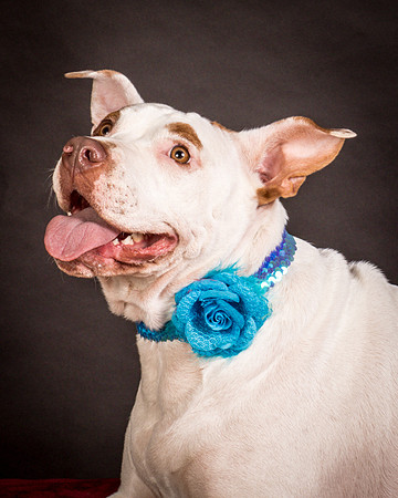 Foster Joanie-0489