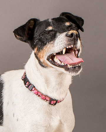 Foster Pollyanna-3928