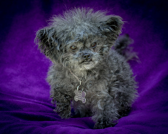 Foster Vivienne-9296
