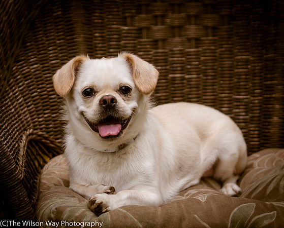 Foster Bonnie-3008