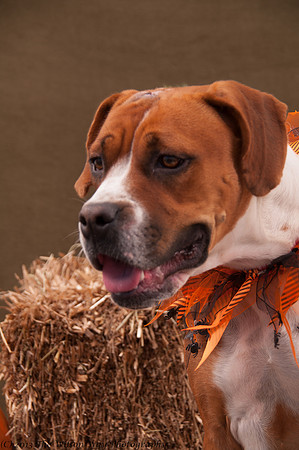 Foster Betsy-7528