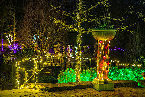Christmas-2574