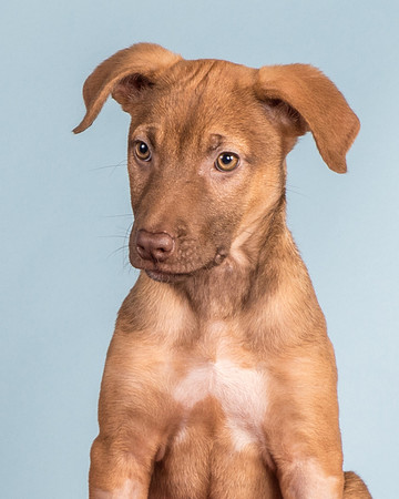 Foster Bronwyn-8379