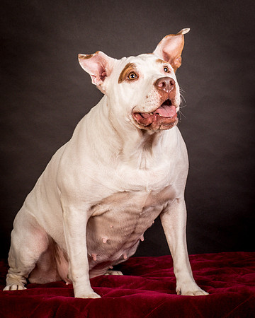 Foster Joanie-0505