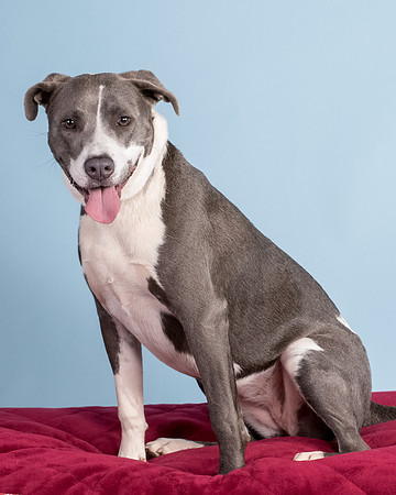 Foster Juliana-8109
