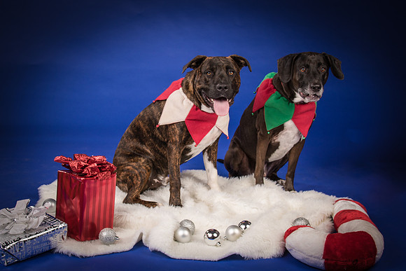 Rosser-Kody and Edge-6089