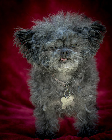 Foster Vivienne-9244