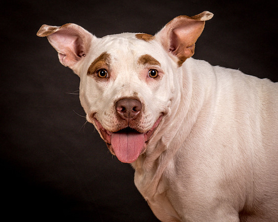 Foster Joanie-0605