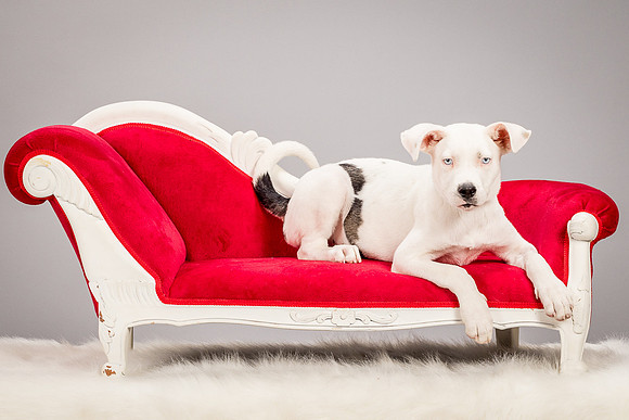 Foster Alvin-4714