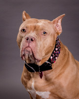Maggie Griner-7544