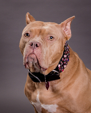 Maggie Griner-7544