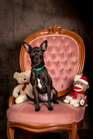 Foster Elvira-0174