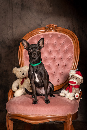 Foster Elvira-0174