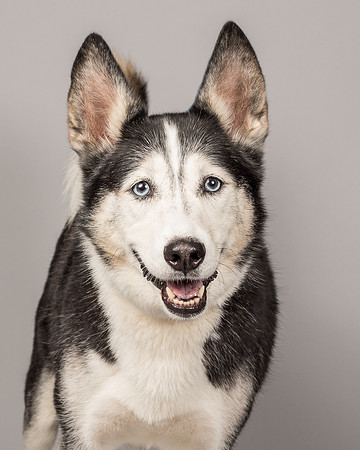 Bella-2474